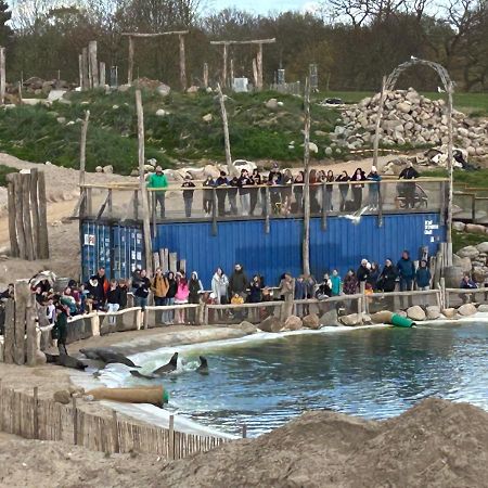 Kuestenbude Robbe Grömitz Exteriör bild