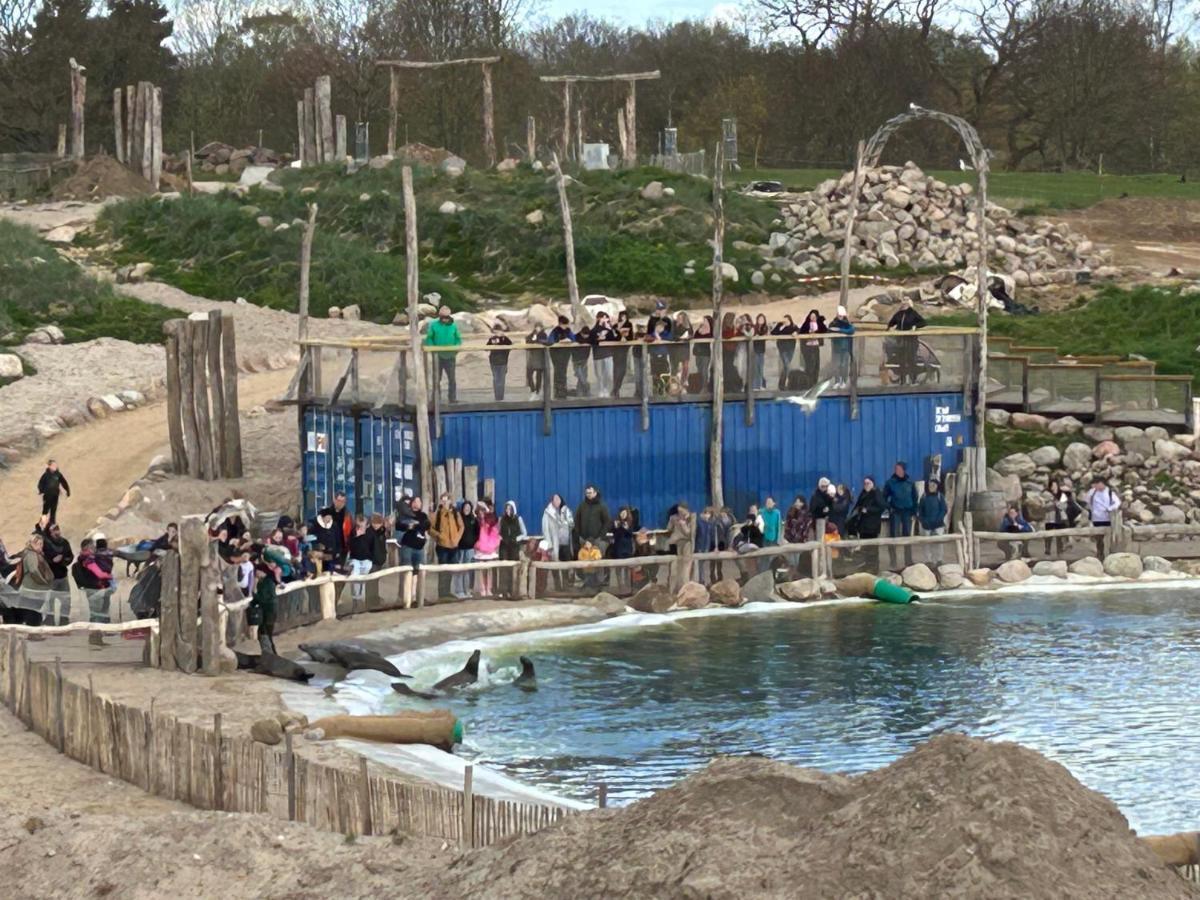 Kuestenbude Robbe Grömitz Exteriör bild