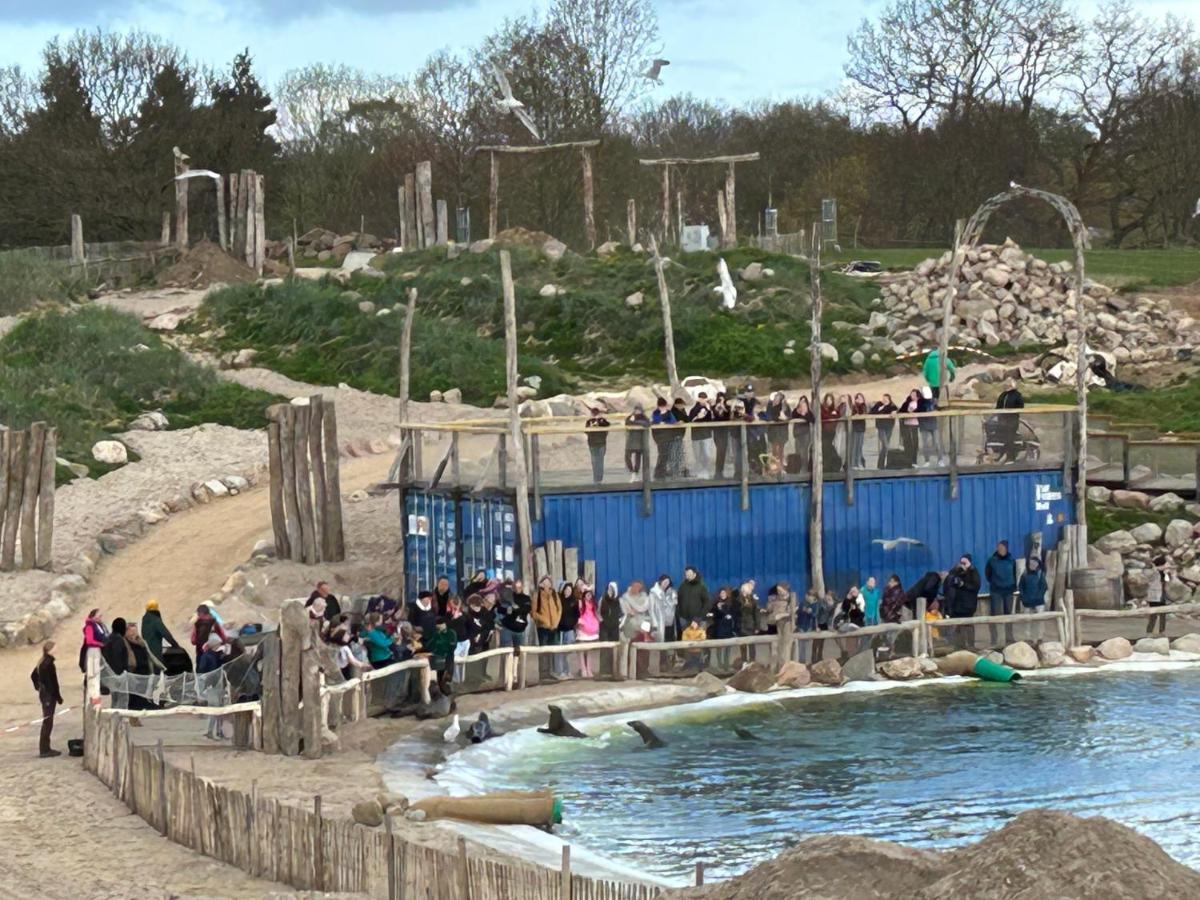 Kuestenbude Robbe Grömitz Exteriör bild